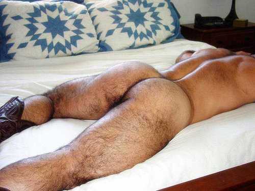 HAIRY ASS (2).jpg