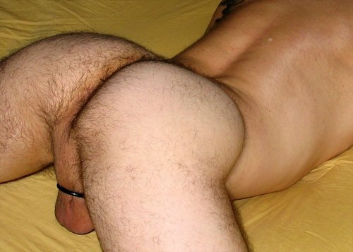 HAIRY ASS (3).jpg