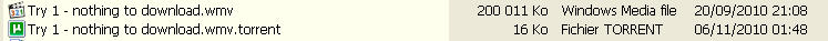Pic #2 - the movie and the torrent.jpg