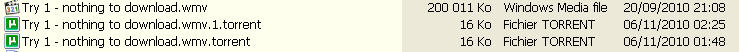 Pic #6 - The movie and the 2 torrents.jpg