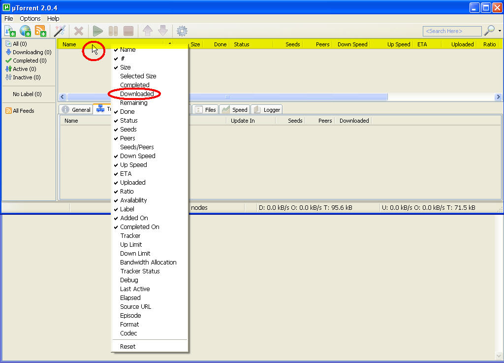 Amice's explanations.jpg