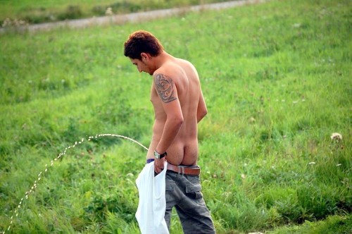 guys-pissing-10272-500x332.jpg
