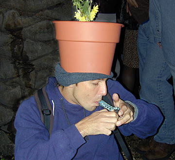 pothead.jpg