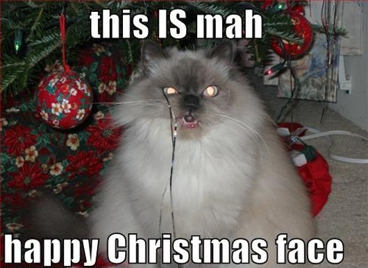 this-mah-happy-christmas-face.jpg