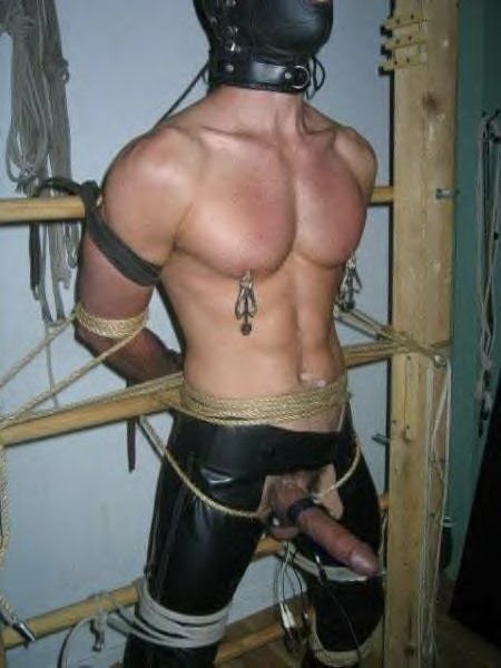 znip-exto2 (127).JPG