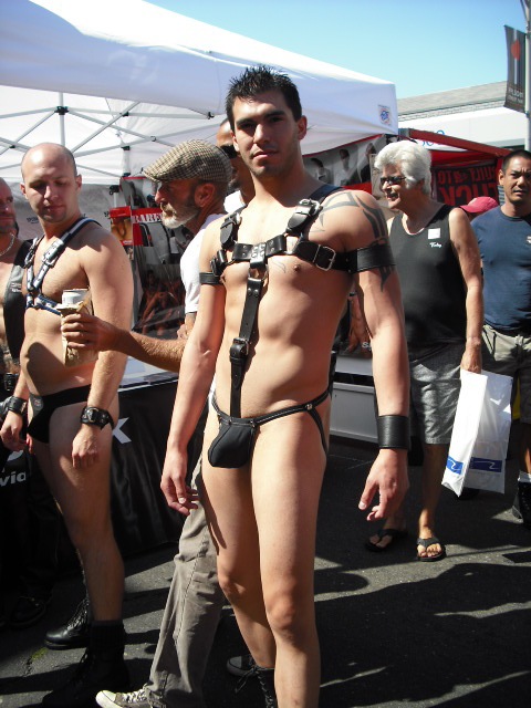 LeatherHarness17.jpg