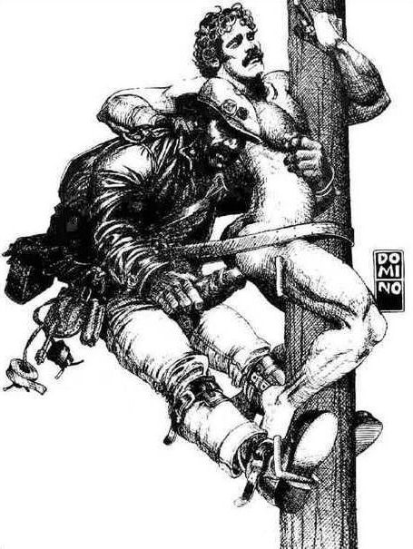 01 domino_linemen.jpg