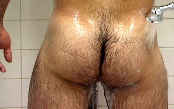 hairy ass 11.jpg