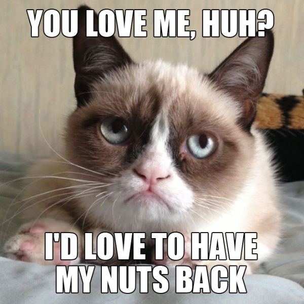 funny_grumpy_cat_meme_selection_640_zpsedeb56a2.jpg
