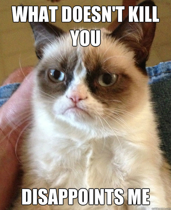 grumpy_cat_lolcatz.jpg
