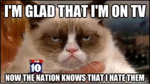 grumpy-cat-1-300x167_zps04c0f1fe.jpg