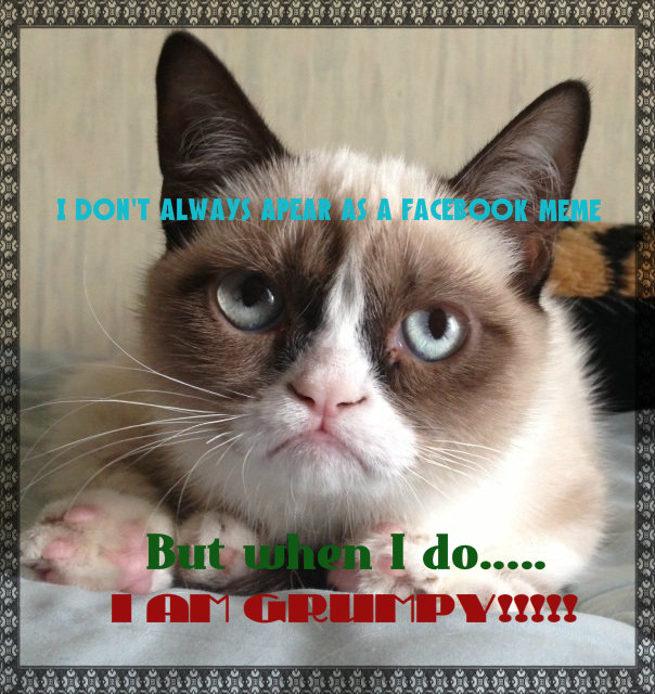 grumpy-cat-03-1.jpg