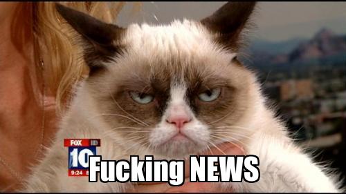 grumpy-cat-news_zpsb4625ef1.jpg