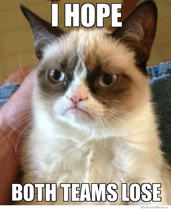 grumpy-cat-superbowl-meme_zps902aeea2.jpg