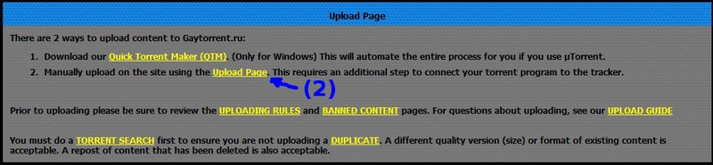 Upload Guide Picture 2a.jpg