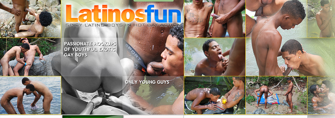 FireShot Screen Capture #041 - 'Latinos Fun!' - latinosfun_com.png