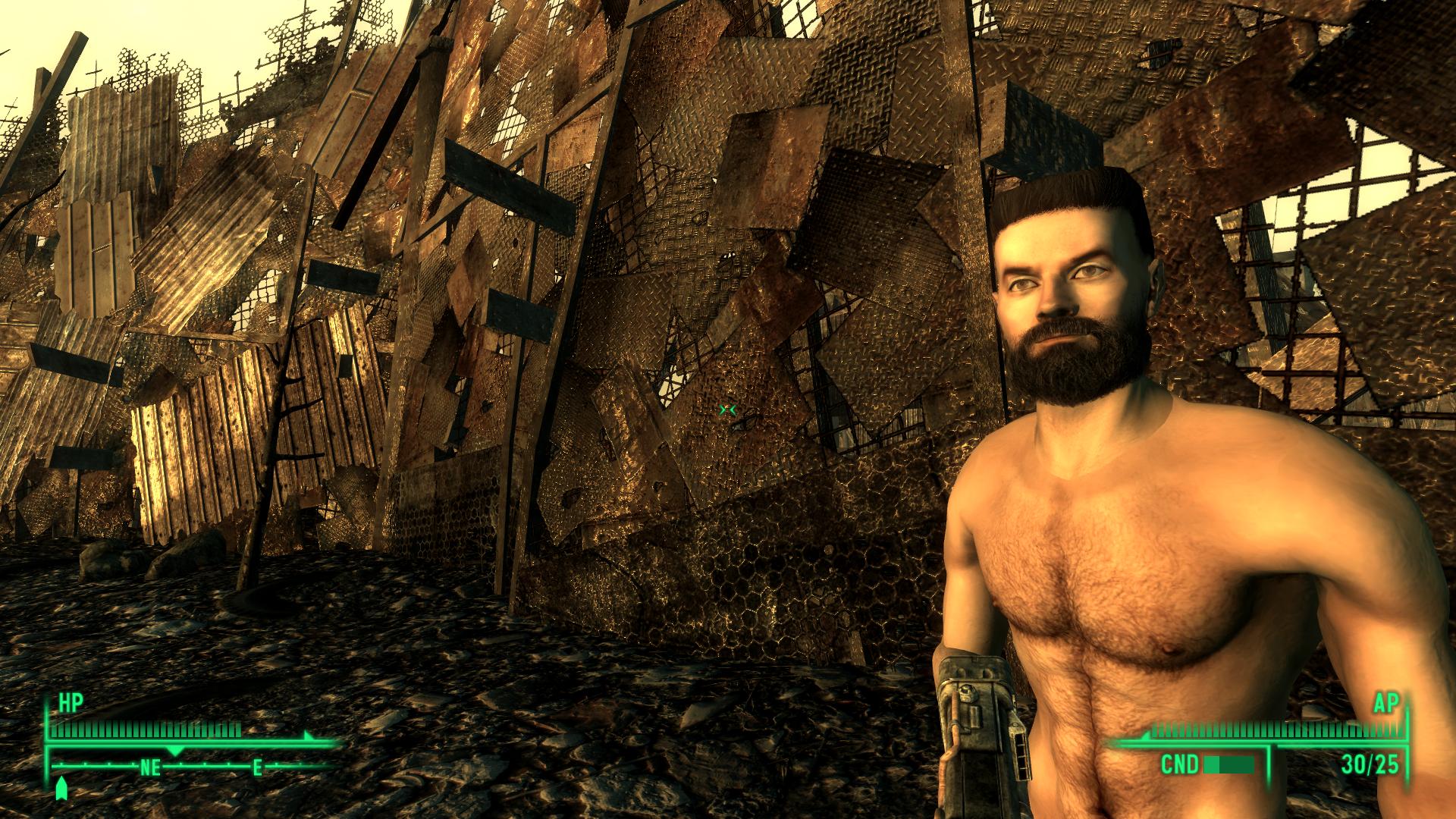 Fallout3 2015-09-04 04-14-36-91.jpg