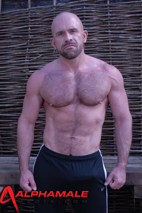 Bear (18).jpg