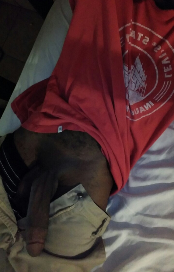 Black Donkey Dick 19.png