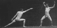 eadweard muybridge - photographer 2.gif