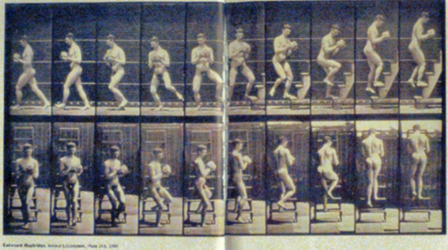 Eadweard_Muybridge-Animal_Locomotion-Plate-151-1887.jpg