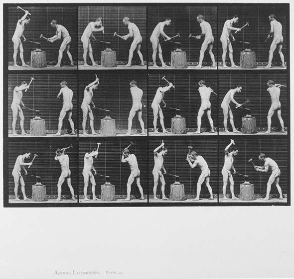 eadweard muybridge - photographer 9.jpg