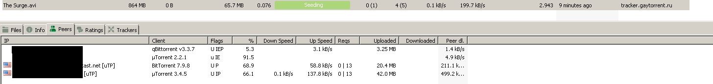 surge utorrent.JPG