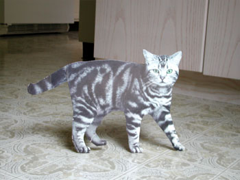 Wow, this guy looks EXACTLY like the kitty I got for him!.jpg