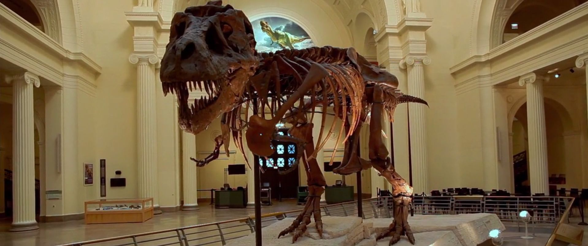 Field Museum of Natural History.jpg