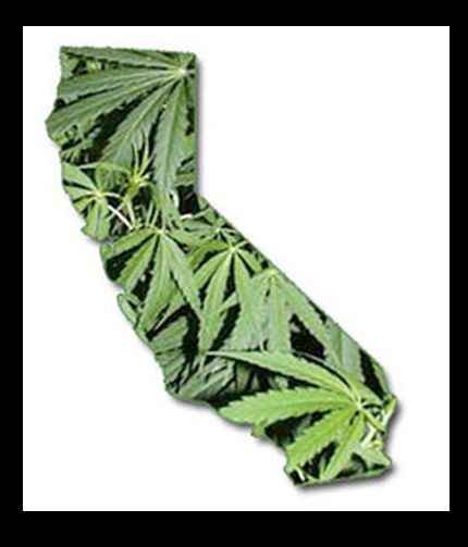 'Green' to get us 'Golden' again!.jpg