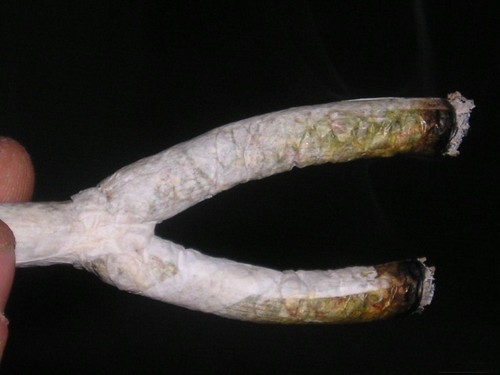 '2 joints are better than 1'.jpg