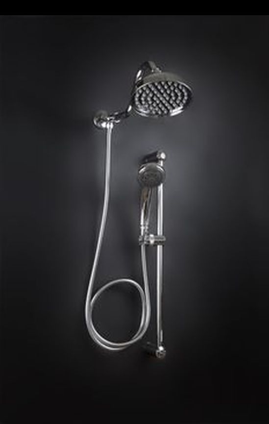 Dual Rain & Handheld Shower Heads.jpg