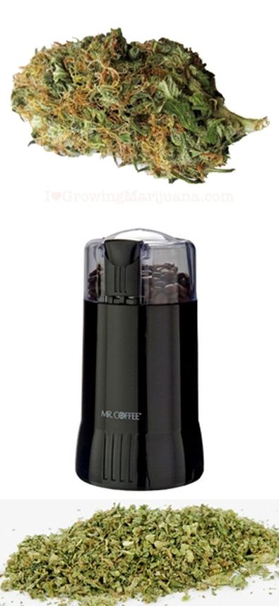 bud, grind & ready to 'twist'.jpg